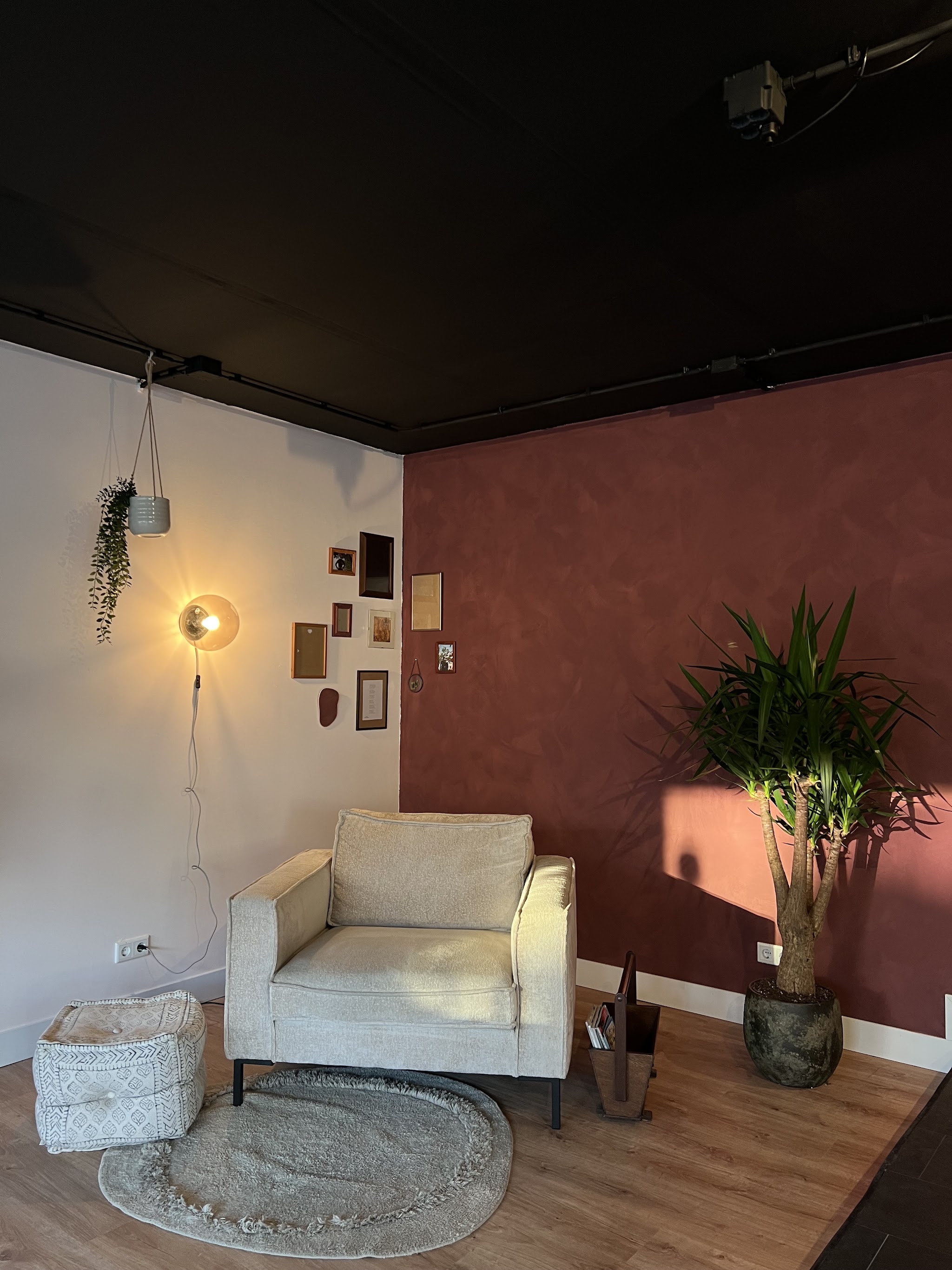 Zithoek in de salon met een witte fauteuil, een grote plant en de terracotta muur